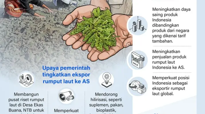 Peluang Ekspor Rumput Laut Indonesia ke Amerika Serikat Makin Terbuka