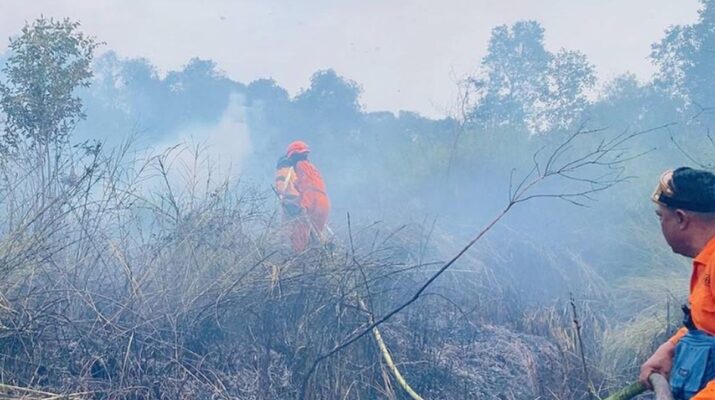 DPR Minta Pemerintah Segera Tetapkan Status KLB Karhutla di Daerah Terdampak Parah